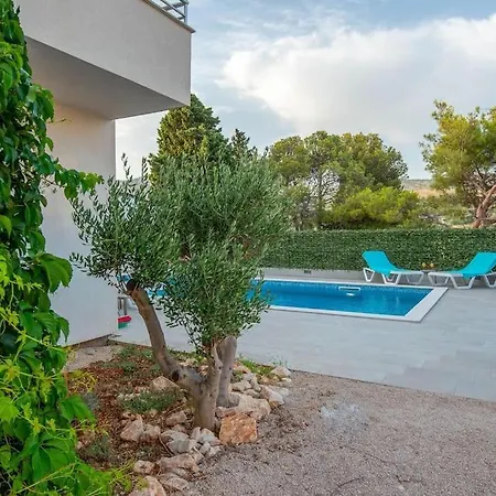 Olea -