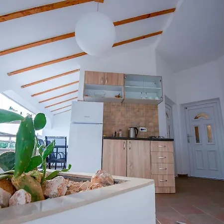 Olea - * Šibenik